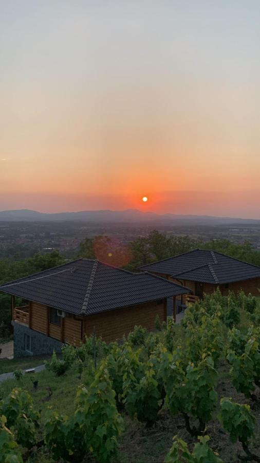 Boja Zalaska - Kameni Apartman Jagodina Esterno foto